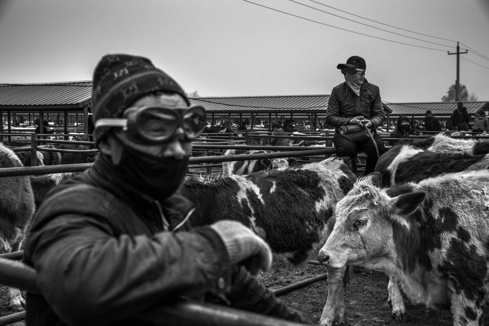 Comerciantes de gado em feira de Tongliao, no interior da China