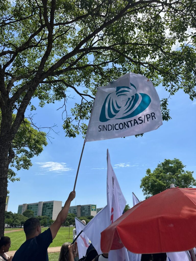 whatsapp image 2025 10 29 at 11.56.01